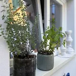 Casa Lazzari - Giardino Segreto A 3 Min Da Maria Cecilia Hospital