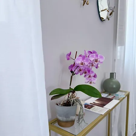 Apartamento Casa Lazzari - Giardino Segreto A 3 Min Da Maria Cecilia Hospital *