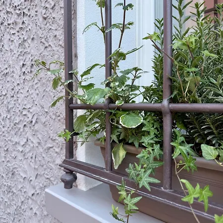 Casa Lazzari - Giardino Segreto A 3 Min Da Maria Cecilia Hospital 卢戈