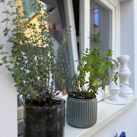 Casa Lazzari - Giardino Segreto A 3 Min Da Maria Cecilia Hospital