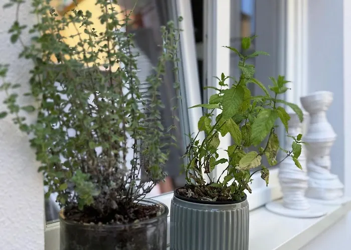 Casa Lazzari - Giardino Segreto A 3 Min Da Maria Cecilia Hospital