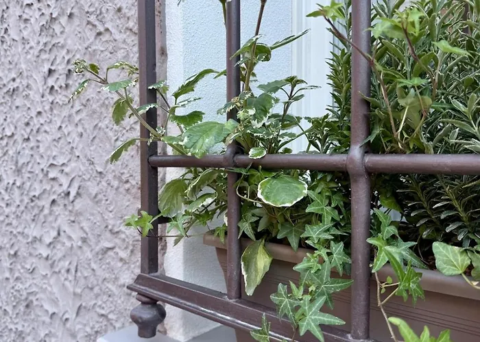 Casa Lazzari - Giardino Segreto A 3 Min Da Maria Cecilia Hospital Lugo (Ravenna)